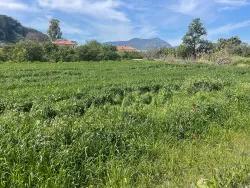Ortaca Okçular Mah. Satılık Arsa - Konut İmar Durumlu - 736 m²