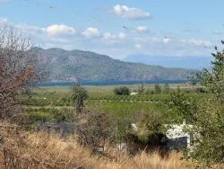 Ortaca Dalyan Mah. Satılık Tarla - Tarla İmar Durumlu - 5.000 m²