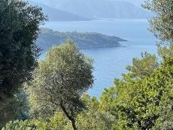 Köyceğiz Çandır Mah. Satılık Tarla - Konut İmar Durumlu - 10.481 m²