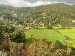 Köyceğiz Çandır Mah. Satılık Arazi - Tarla İmar Durumlu - 35.000 m²