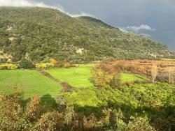 Köyceğiz Çandır Mah. Satılık Arazi - Tarla İmar Durumlu - 35.000 m²