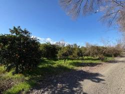 Ortaca Okçular Mah. Satılık Arsa - Konut İmar Durumlu - 4.326 m²