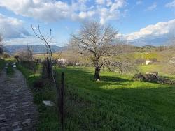 Ortaca Dalyan Mah. Satılık Tarla - Tarla İmar Durumlu - 11.230 m²