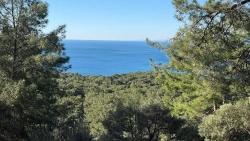 Köyceğiz Çandır Mah. Satılık Tarla - Konut İmar Durumlu - 5.715 m²