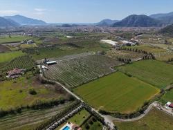 Ortaca Dalyan Mah. Satılık Bağ & bahçe - Bağ & bahçe İmar Durumlu - 17.550 m²