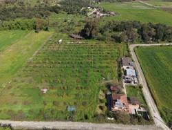 Ortaca Eskiköy Mah. Satılık Pansiyon - 11.000 m²