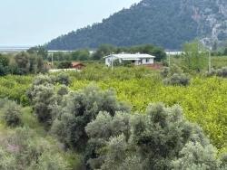 Köyceğiz Çandır Mah. Satılık Tarla - Tarla İmar Durumlu - 1.721 m²