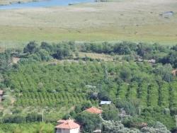 Köyceğiz Çandır Mah. Satılık Tarla - Tarla İmar Durumlu - 1.252 m²