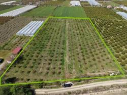 Ortaca Eskiköy Mah. Satılık Tarla - Tarla İmar Durumlu - 16.000 m²