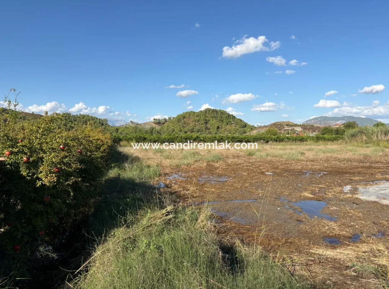 Ortaca Yeşilyurt'ta 3900M2 Satılık Arsa