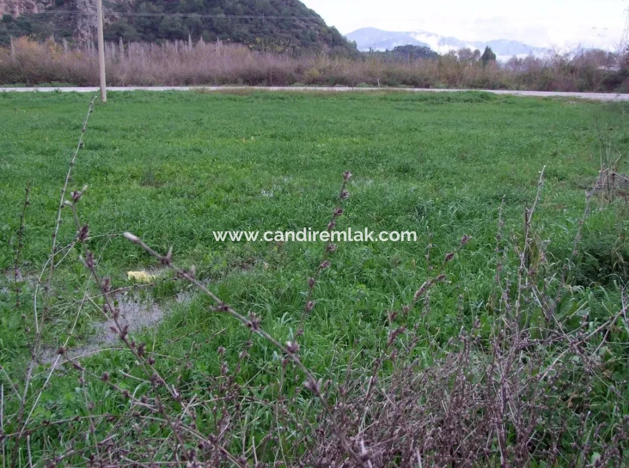 Dalyan Gülpınar Satılık Arsa Dalyan 1,002M2 Satılık Köşenası Satılık Arsa