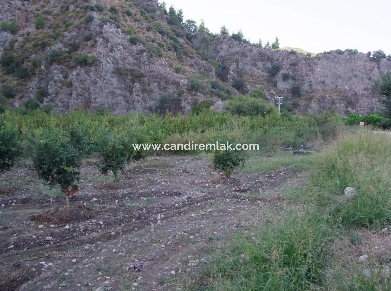 Mergenlide Satılık Nar Bahçe Ortaca Mergenlide Satılık Arsa