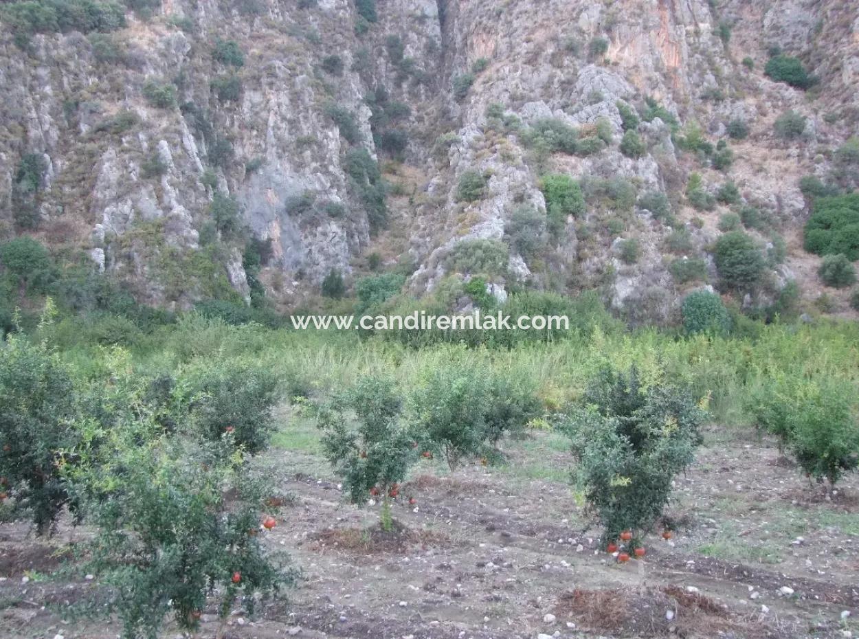 Mergenlide Satılık Nar Bahçe Ortaca Mergenlide Satılık Arsa