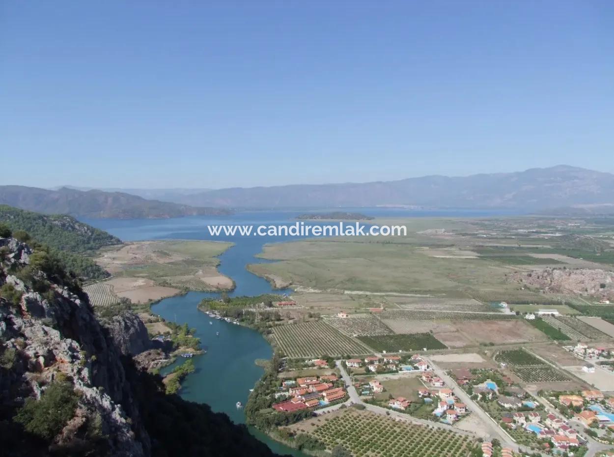 Dalyan Satılık Arsa Dalyan Maraşda 7300M2 %5 İmarlı Satılık Arsa