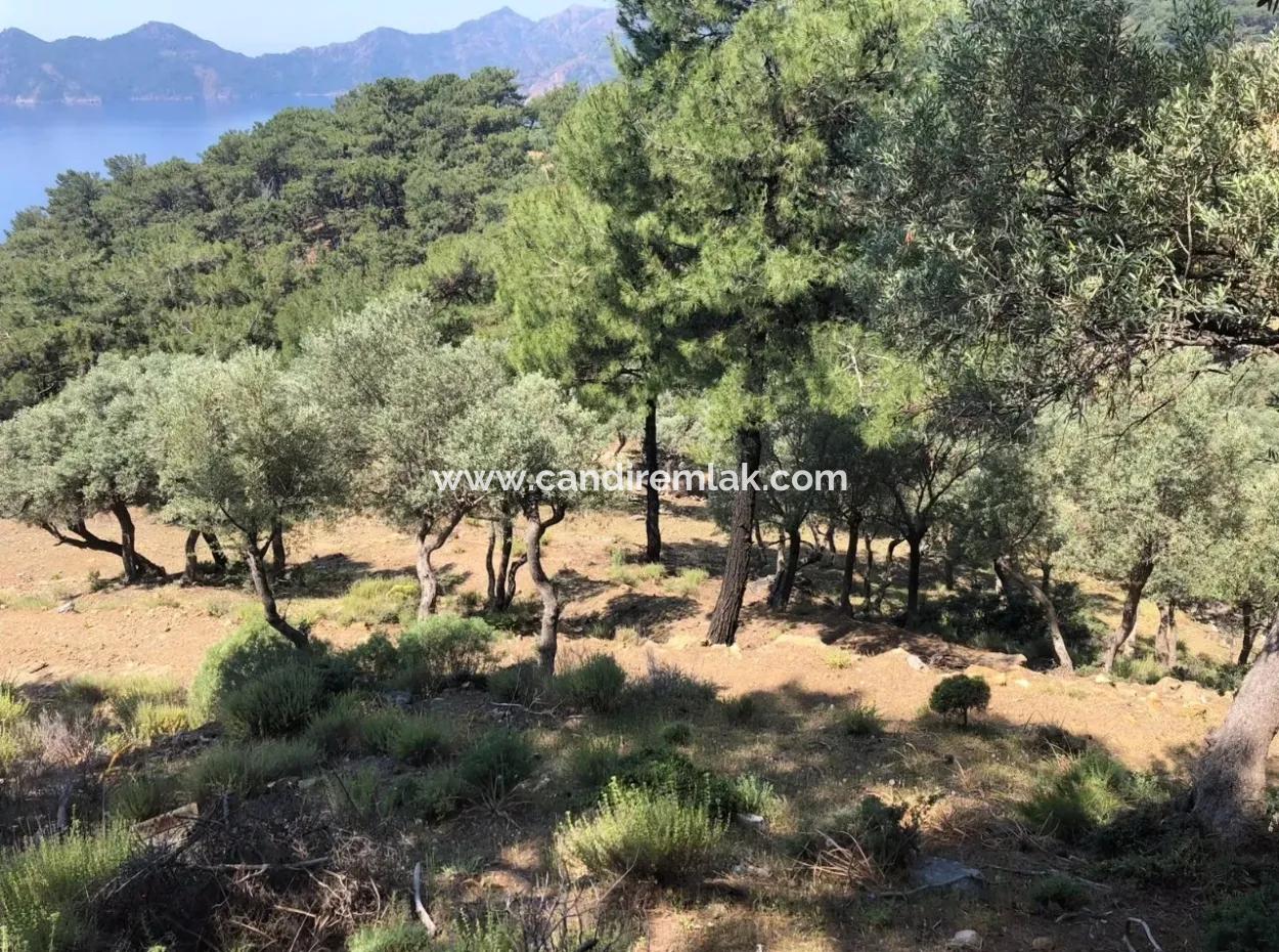 Çandır'da Deniz Manzaralı 7034M2 Satılık Tarla