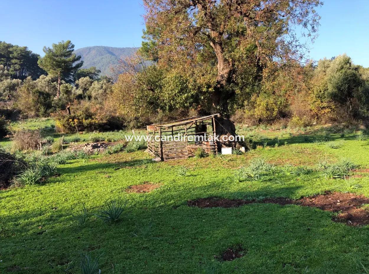 Ekincik Satılık Arsa 10,038M2 Satılık Arsa Tarla