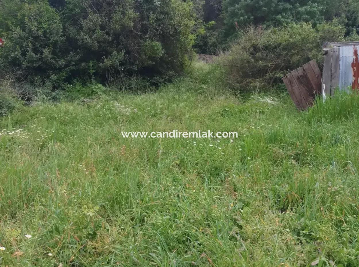 Çamlida  Satılık Arsa 11516M2 Satlık Bahçe