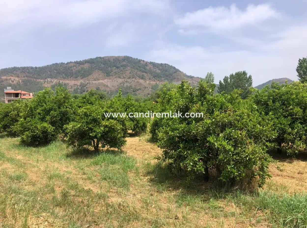 Ekşiliyurtda 1085M2 Satılık Arsa