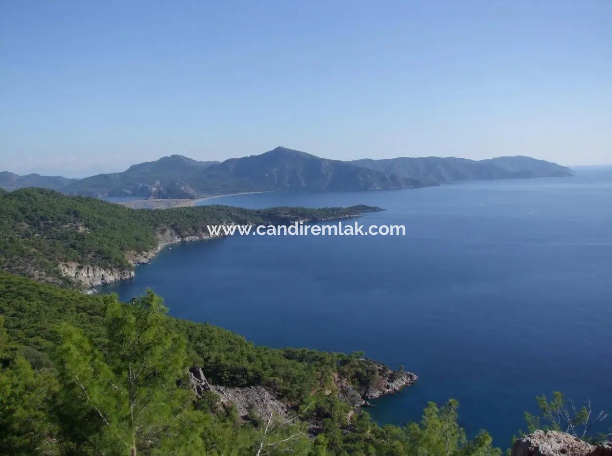 Ekincik Çandır Arasın'da Deniz Manzaralı Kelepir Emlak Satılık Arsa