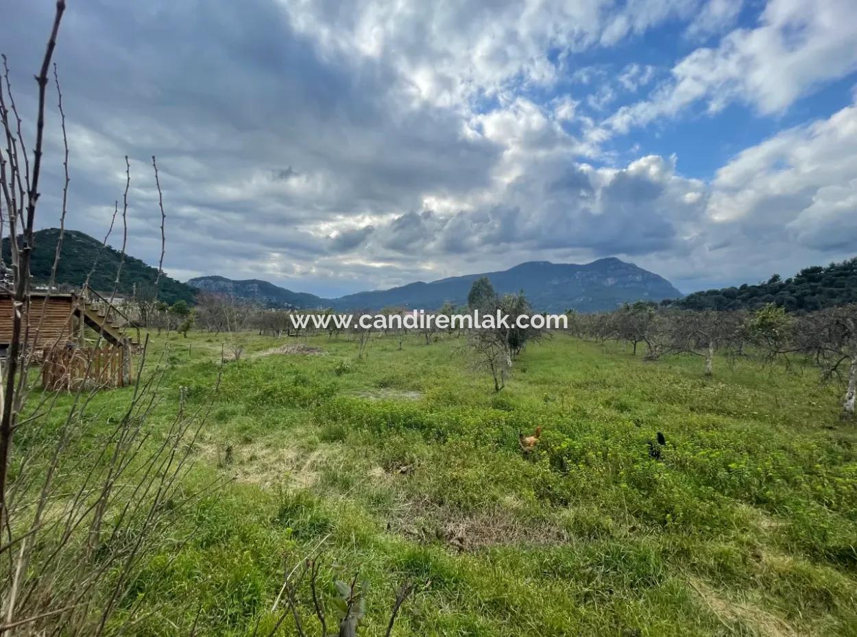 Dalyan Satılık Butik Otel 11.000M2 Arsa İçinde Satılık Bungolevler