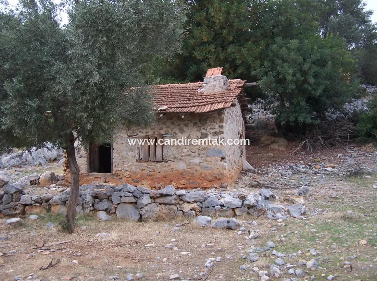 Sarsalada Deniz Manzaralı 4274M2 Arsa İçinde Satılık Taş Ev