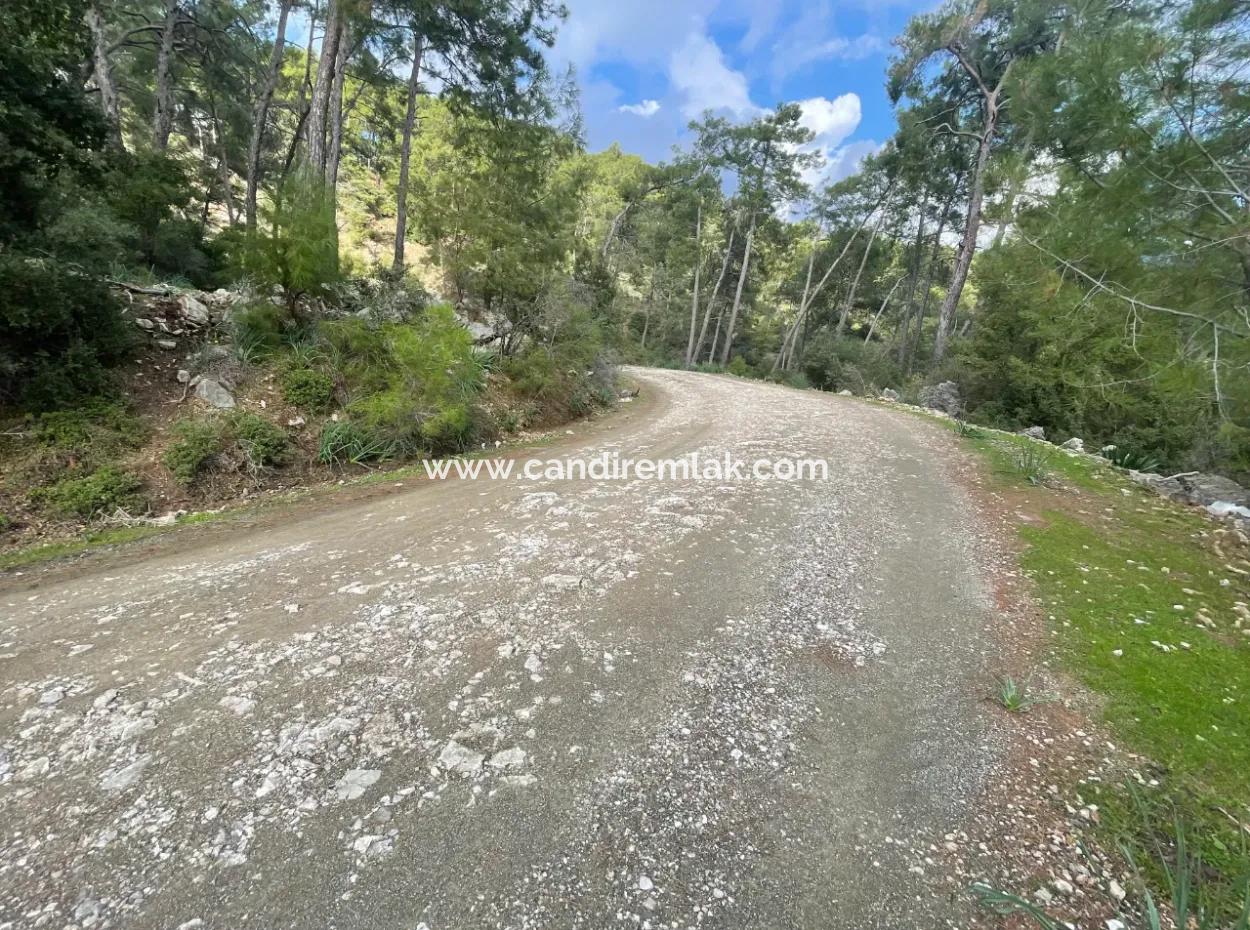 Çandır'da Deniz Göl Manzaralı Satılık 10,707M2 2B Tarlası