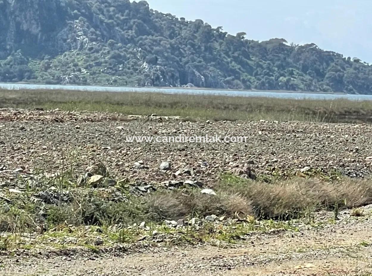 Dalyan İztuzu Plaj Yoluna Sıfır 19,600M2 Satılık Tarla Arazi