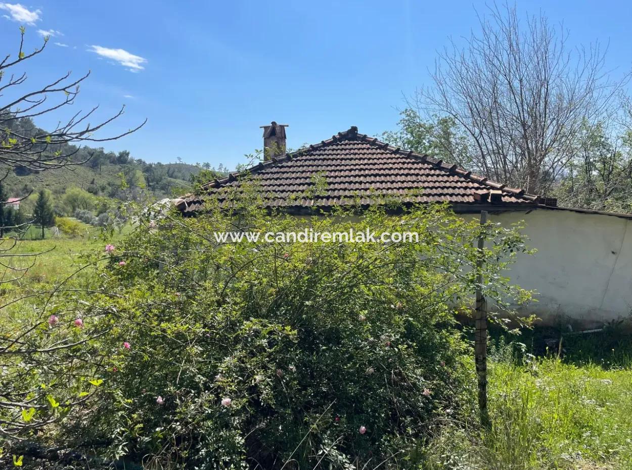 Zeytinalanın'da 5650M2 Tarla İçinde Satılık Köy Evi