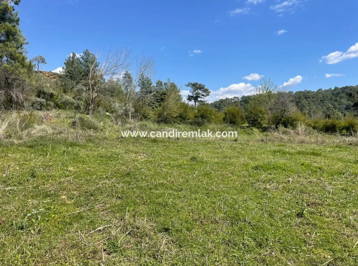 Zeytinalanın'da 5650M2 Tarla İçinde Satılık Köy Evi