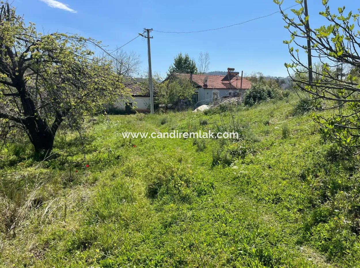 Zeytinalanın'da 5650M2 Tarla İçinde Satılık Köy Evi