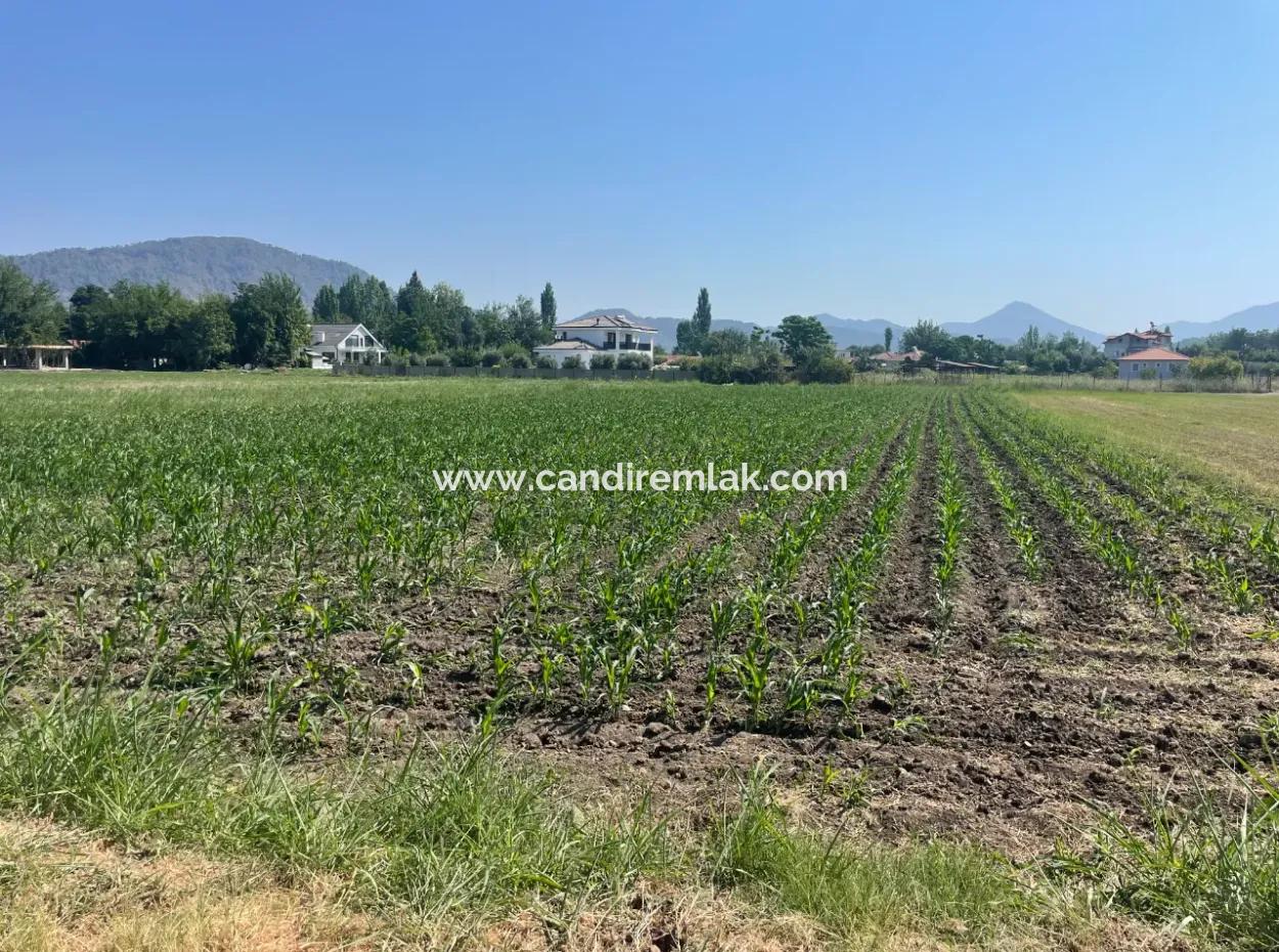 Okçular'da Köy Yerleşik Alanda 2715M2 Satılık Arsa