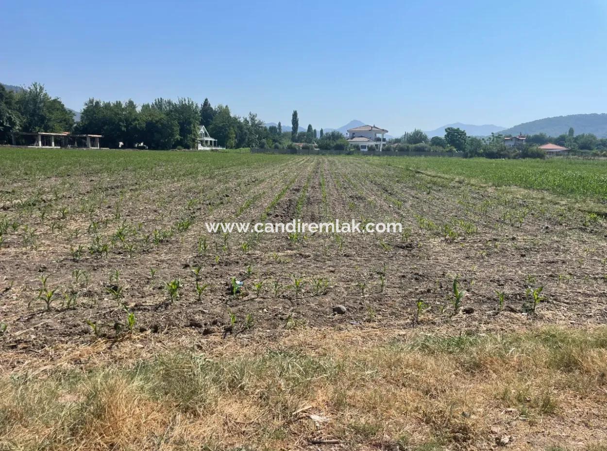 Okçular'da Köy Yerleşik Alanda 2715M2 Satılık Arsa