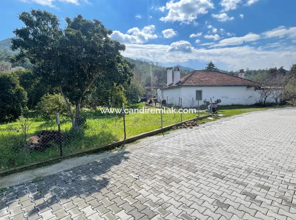 Sultaniye Büyükkaraç Mahallesin Satılık Tarla