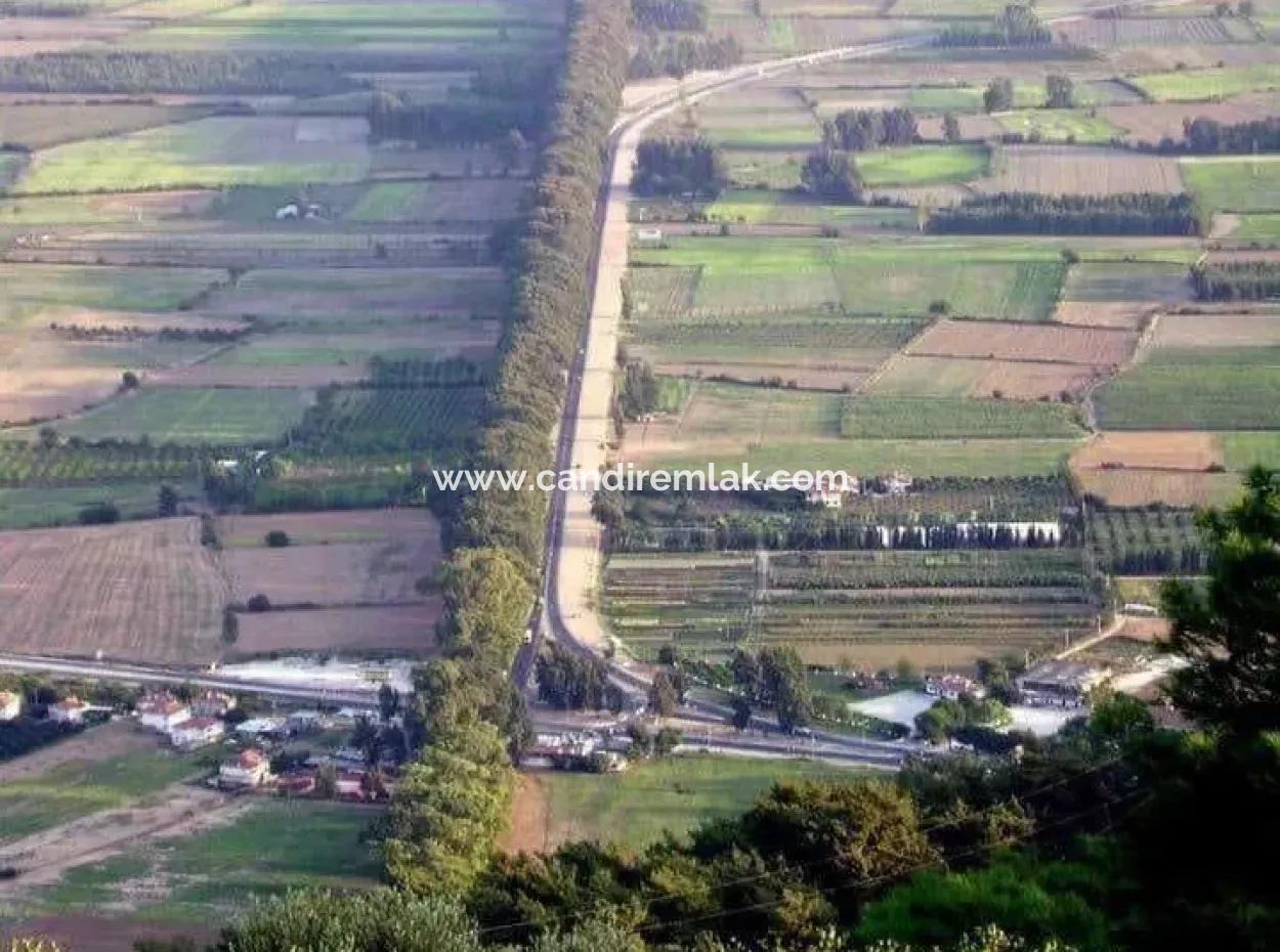 Akçapınar'da Deniz Manzaralı 500M2 İmarlı Satılık Arsa