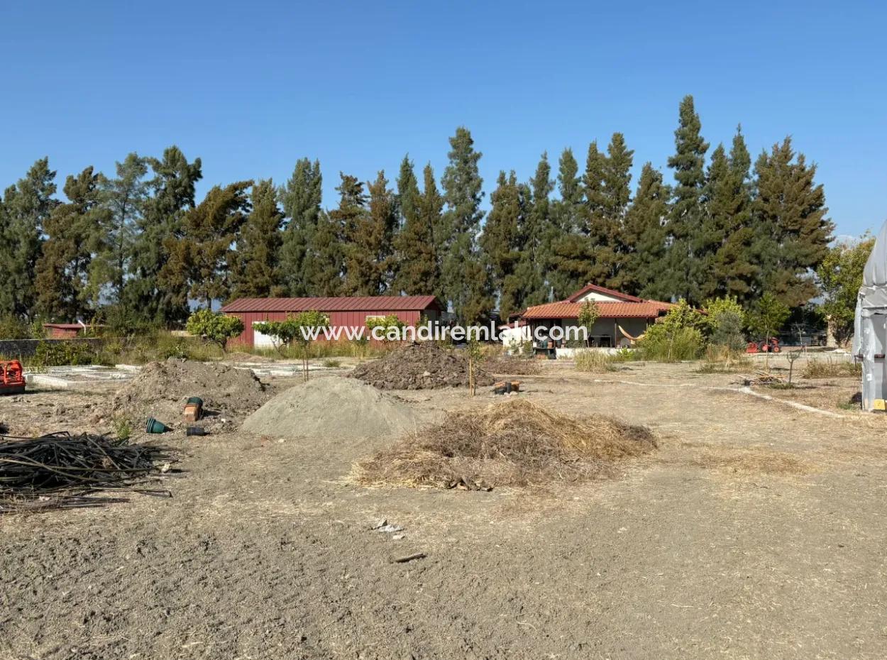 Eskiköy'de 19.663M2 Çiftlik Arazisi Ve Ev Satılıktır