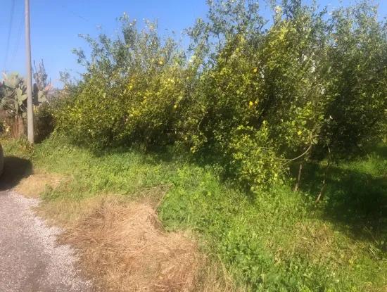 Akıncıda Satılık Arsa 803M2 İmarlı Satılık Arsa