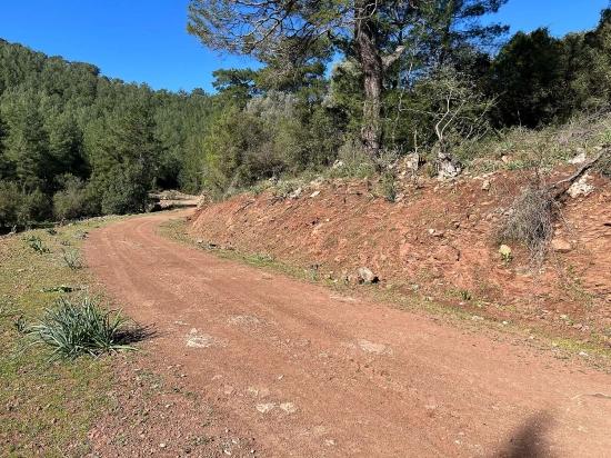 Gökbel'de Doğa Ve Orman İçerisinde Satılık Tarla