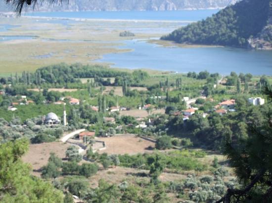 Köyceğiz Çandır'da 19.334m2 Satılık Tarla